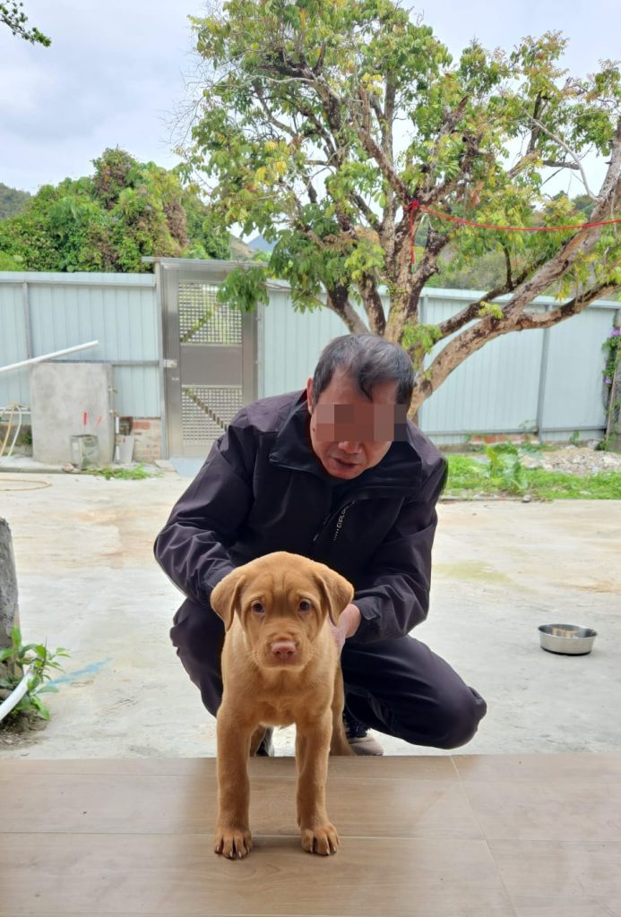 愛犬檬檬在家中一直在找Joe，最近才漸漸接受Joe回不了家。（受訪者提供）