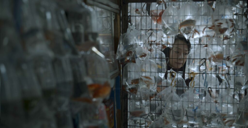 《從今以後》劇照由高先電影公司提供